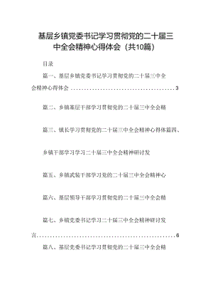 （10篇）基层乡镇党委书记学习贯彻党的二十届三中全会精神心得体会范文.docx