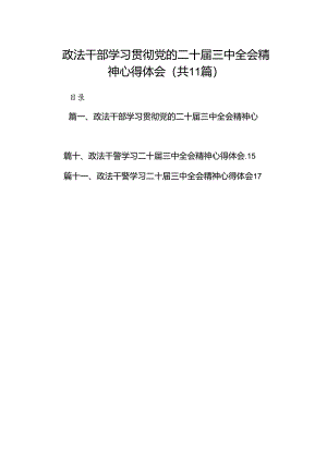 （11篇）政法干部学习贯彻党的二十届三中全会精神心得体会范文最新.docx
