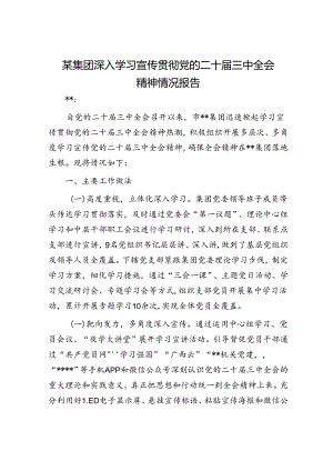 某集团深入学习宣传贯彻党的二十届三中全会精神情况报告.docx