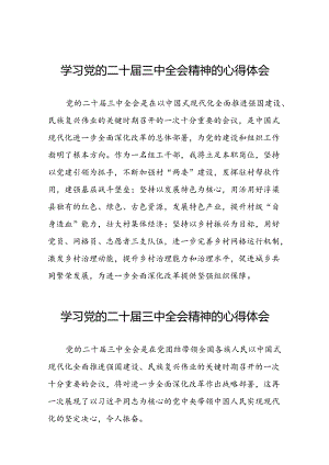 2024年党的二十届三中全会精神学习体会样本三十篇.docx