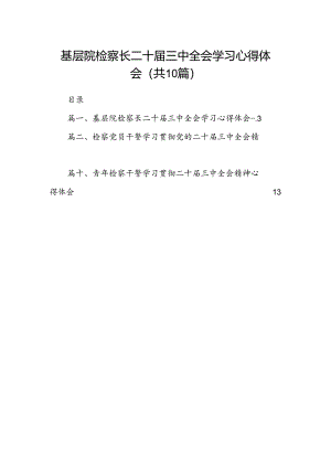 （10篇）基层院检察长二十届三中全会学习心得体会（详细版）.docx