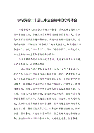 2024年党的二十届三中全会精神学习体会汇编三十篇.docx