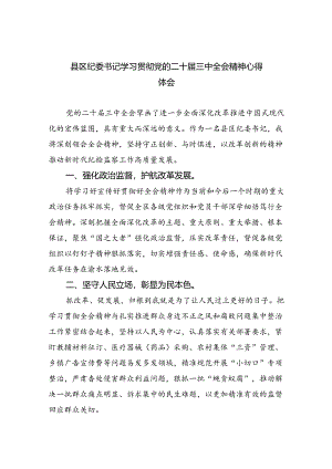 县区纪委书记学习贯彻党的二十届三中全会精神心得体会5篇（精选版）.docx