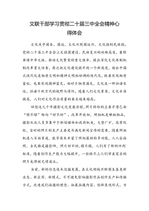 文联干部学习贯彻二十届三中全会精神心得体会.docx