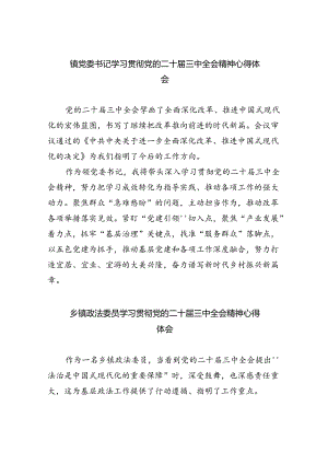 镇党委书记学习贯彻党的二十届三中全会精神心得体会范本8篇（详细版）.docx