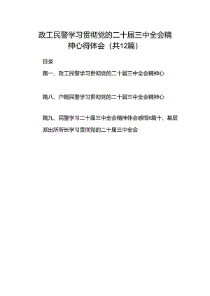 政工民警学习贯彻党的二十届三中全会精神心得体会12篇（详细版）.docx