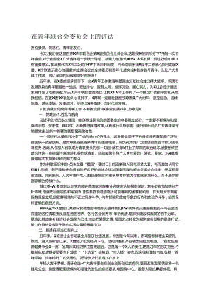 在青年联合会委员会上的讲话.docx