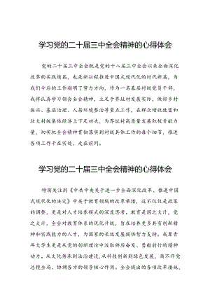 2024年二十届三中全会精神学习体会范本三十篇.docx