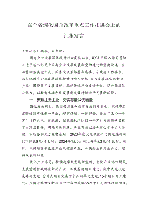 在全省深化国企改革重点工作推进会上的汇报发言.docx