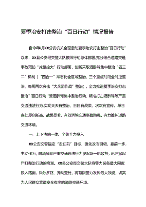 公安2024年夏季治安打击整治“百日行动”情况总结报告26篇.docx