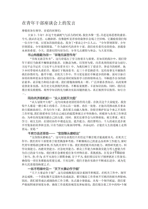 在青年干部座谈会上的发言.docx