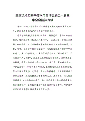 基层纪检监察干部学习贯彻党的二十届三中全会精神有感.docx