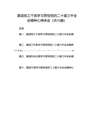 （15篇）基层组工干部学习贯彻党的二十届三中全会精神心得体会集合.docx