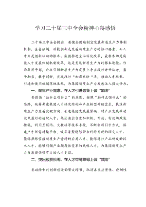 学习二十届三中全会精神心得感悟.docx