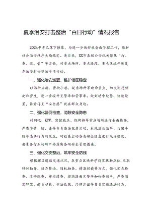 公安2024开展夏季治安打击整治行动总结报告17篇.docx