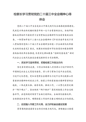 检察长学习贯彻党的二十届三中全会精神心得体会.docx