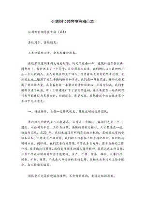 公司例会领导发言稿范本.docx
