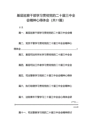 （11篇）基层巡察干部学习贯彻党的二十届三中全会精神心得体会范文.docx
