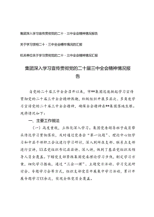 机关单位、集团深入学习宣传贯彻党的二十届三中全会精神情况报告.docx