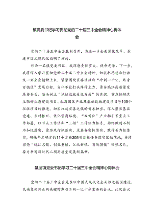 镇党委书记学习贯彻党的二十届三中全会精神心得体会范本8篇（精选版）.docx