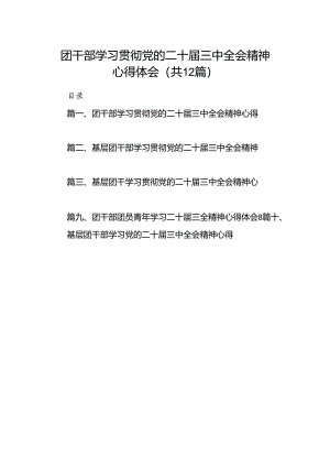 团干部学习贯彻党的二十届三中全会精神心得体会12篇供参考.docx