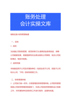 做账实操-财务管理制度.docx