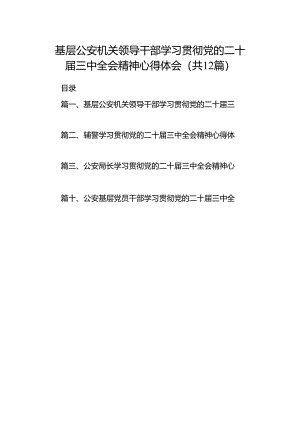 基层公安机关领导干部学习贯彻党的二十届三中全会精神心得体会12篇（详细版）.docx