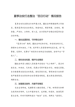 派出所推进2024年夏季治安打击整治行动工作小结(十五篇).docx