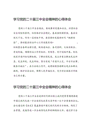2024年学习贯彻二十届三中全会精神的心得体会42篇.docx