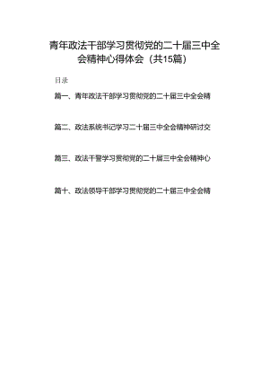 （15篇）青年政法干部学习贯彻党的二十届三中全会精神心得体会（详细版）.docx