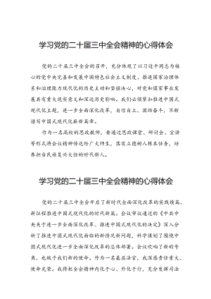 中国共产党第二十届中央委员会第三次全体会议精神的学习感悟二十六篇.docx