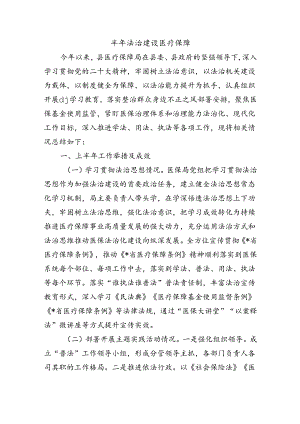 半年法治建设医疗保障.docx