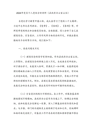 2024年党员个人党性分析材料（县政府办公室主任）.docx