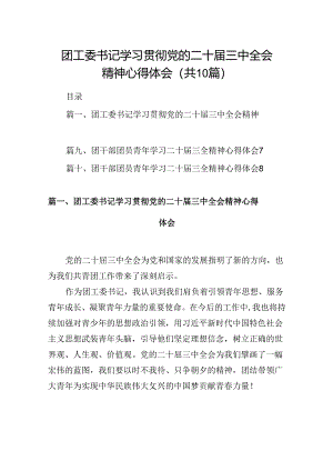 （10篇）团工委书记学习贯彻党的二十届三中全会精神心得体会范文.docx