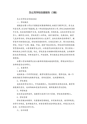 怎么写学校自查报告（3篇）.docx