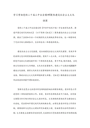 学习贯彻党的二十届三中全会精神：聚焦建设社会主义文化强国.docx