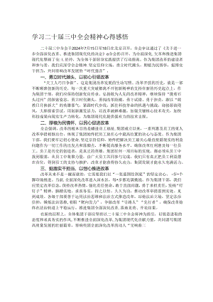 学习二十届三中全会精神心得感悟.docx