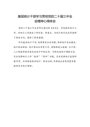 基层统计干部学习贯彻党的二十届三中全会精神心得体会.docx