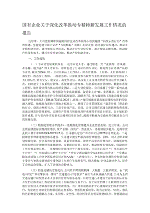 国有企业关于深化改革推动专精特新发展工作情况的报告.docx