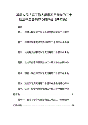 基层人民法庭工作人员学习贯彻党的二十届三中全会精神心得体会12篇（详细版）.docx