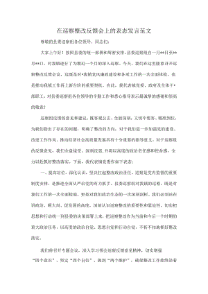 在巡察整改反馈会上的表态发言范文.docx