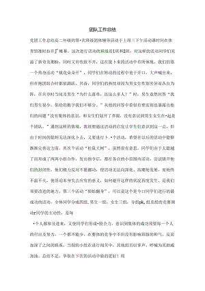 团队工作总结.docx