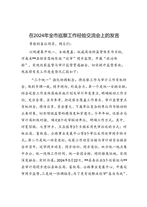 在2024年全市巡察工作经验交流会上的发言.docx