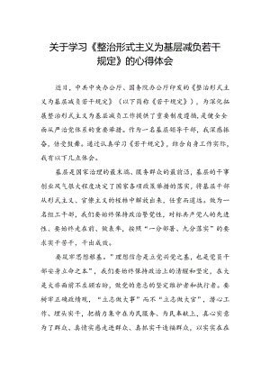 整治形式主义为基层减负若干规定专题培训心得体会.docx