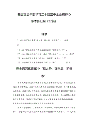 基层党员干部学习二十届三中全会精神心得体会汇编（22篇）.docx