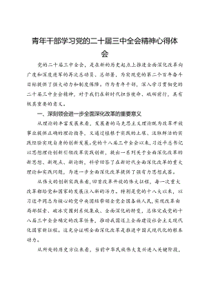 青年干部学习党的二十届三中全会精神心得体会.docx