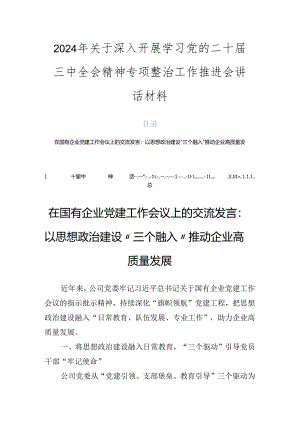 2024年关于深入开展学习党的二十届三中全会精神专项整治工作推进会讲话材料.docx