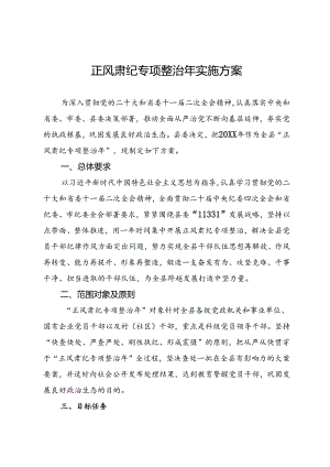 正风肃纪专项整治年实施方案.docx