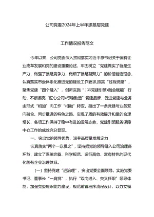 公司党委2024年上半年抓基层党建工作情况报告范文.docx