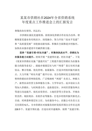 某某市供销社在2024年全省供销系统年度重点工作推进会上的汇报发言.docx